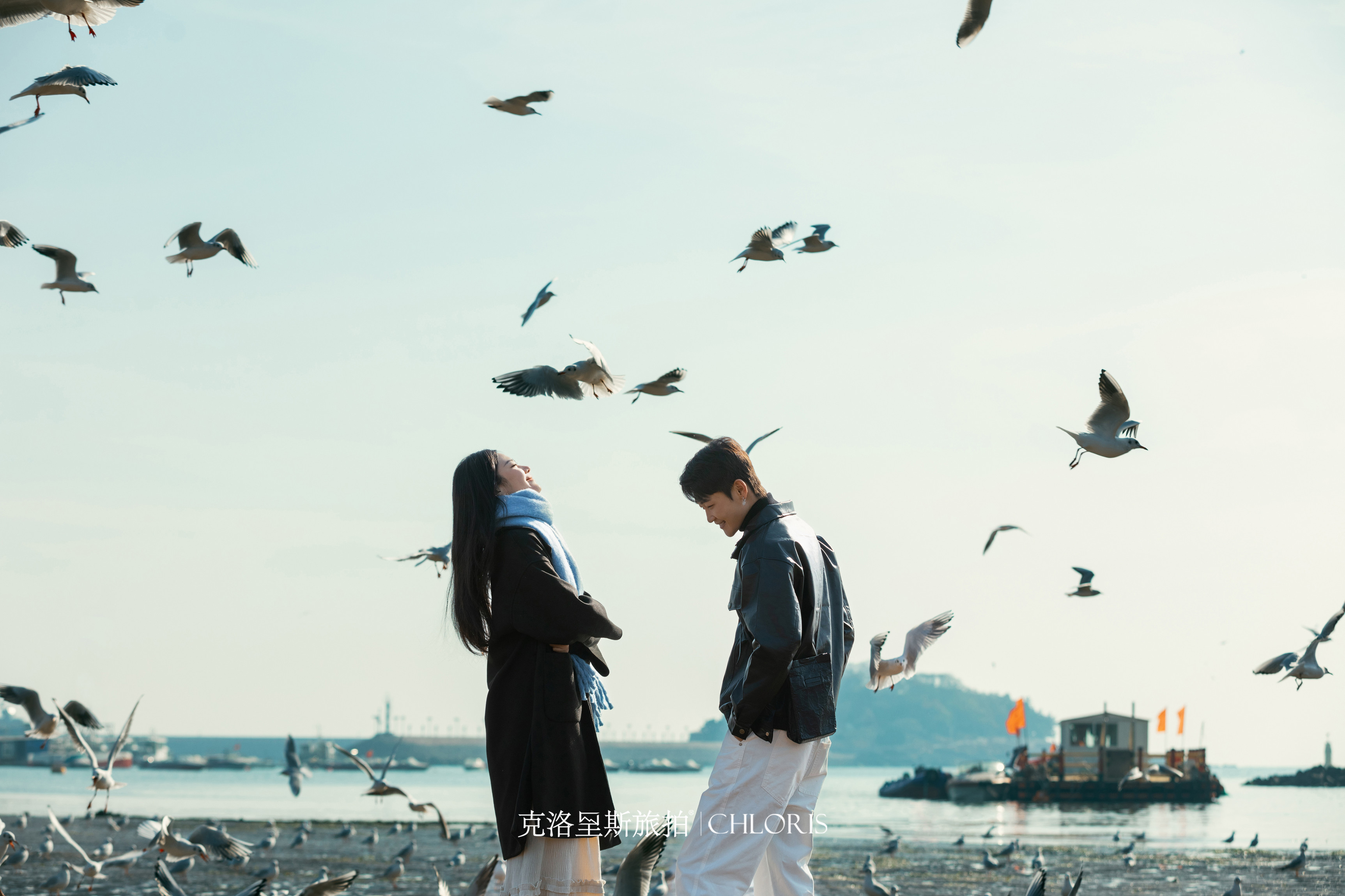 冬季-海鸥婚纱照6